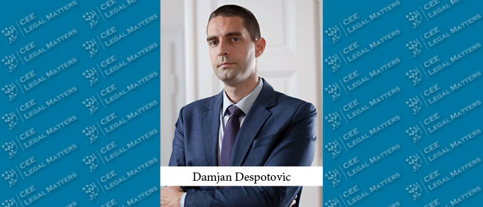 Immigration Reimagined in Serbia: A Buzz Interview with Damjan Despotovic of DNVG