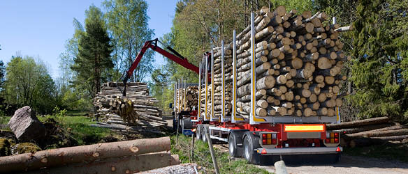 Tark Grunte Sutkiene and Spigulis & Kukainis Advise on Buy-Out of Latvian Sawmill from Latvian Timber Ltd.