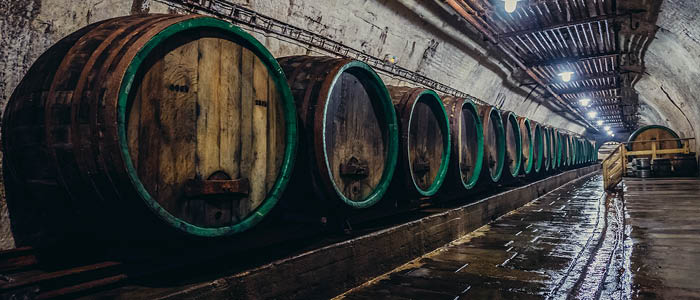 BPV Braun Partners and Wilsons Advise on Pilsner Urquell Experience Joint Venture