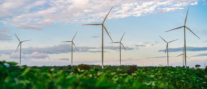 Walless and Cobalt Advise on Ignitis Renewables' Wind Farm Acquisition from E Energija