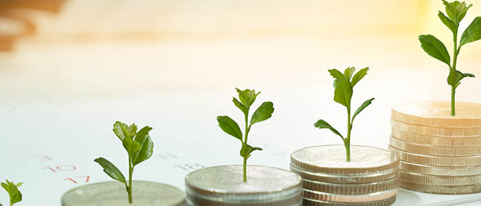 Bondoc si Asociatii Advises RetuRO on RON 426 Million Green Financing