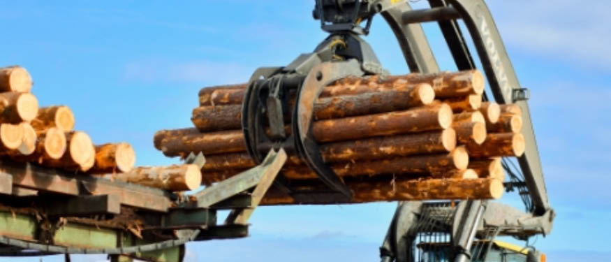 TGS Baltic and Schoenherr Advise on Bergs Timber's Sale of Vika Wood to HS Timber’s Nextwood One