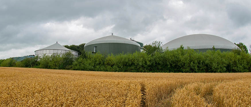 Schoenherr Advises ID Energy Group on Financing of Biopark Dolice Biogas Plant