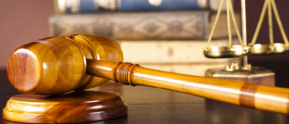 Pohla & Hallmagi Successfully Represents Rein Valk and Luite Arendus Before Supreme Court