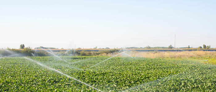 Paksoy Advises Rivulis on Acquisition of Jain Irrigation Business in Turkey