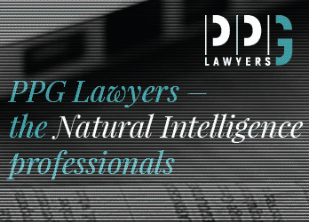 PPG Lawyers - Side Banner - Home