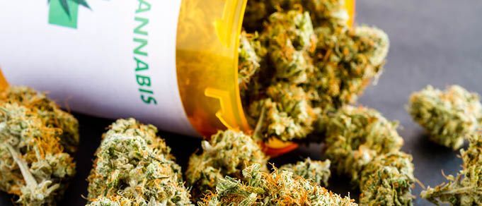 Kinstellar Advises Canopy Growth on Acquisition of Czech Medical Cannabis Company