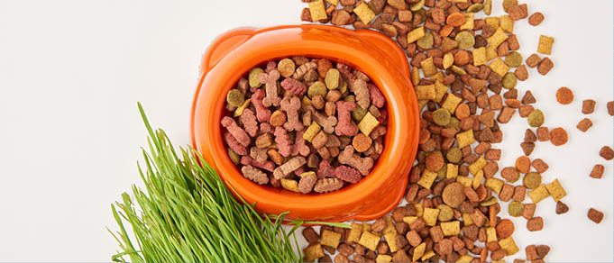 CMS Advises Partner in Pet Food on Acquisition of Mispol in Poland