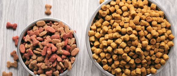 Clifford Chance Advises United Petfood on Acquisition of Two Cargill Facilities in Poland and Hungary