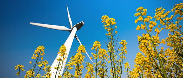 Kinstellar, Karanovic & Partners, Radonjic Associates, and CGSH Advise on Masdar Acquisition of Wind Farm Project in Montenegro
