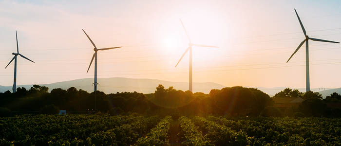 Dentons Advises PKO Bank Polski on Financing Re Alloys’ PPA-Based Wind Power Project