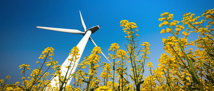Norton Rose Fulbright Advises BGK on Financing Construction of Budimex-Sponsored Wind Farm