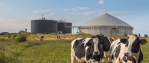 Eversheds Sutherland Bitans Advises BaltCap on Biogas Acquisitions