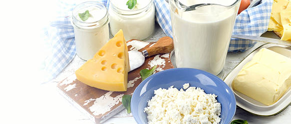 Gide Advises Ak Gida on Acquisition of Turkish Dairy Production Facilities