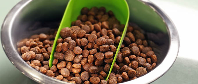 CMS, Freshfields, and Kirkland Advise on Partner in Pet Food Acquisition