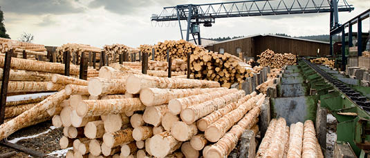 TGS Baltic Advises Astel Group on Acquisition of 95% Ownership in Timber Log House Manufacturer