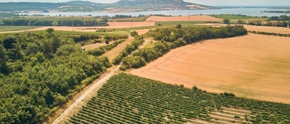 Arendt & Medernach Helps INVL Asset Management Launch INVL Sustainable Timberland and Farmland Fund II