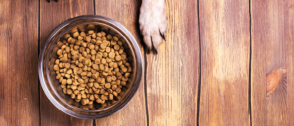 CMS Advises Partner in Pet Food on Polish Business Acquisition